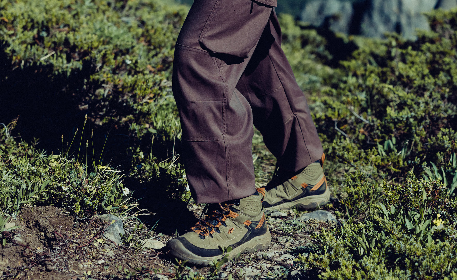 Men's Targhee IV Waterproof Hiking Boot | Sea Turtle/Roasted Pecan - Image 7