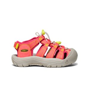 Little Kids' Newport Boundless Sandal | Dubarry/Evening Primrose